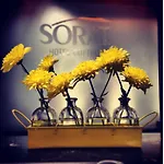 Sorat Hotel