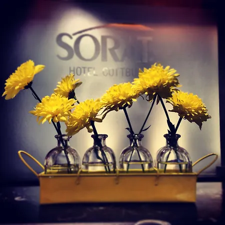 Sorat 호텔 4*
