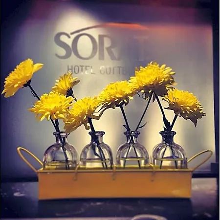 Sorat 4*